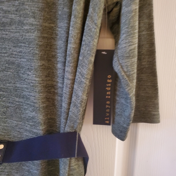 Always Indigo Long Sleeve Knit Dress w/ Belt | 3X | Hunter Green - Picture 5 of 7